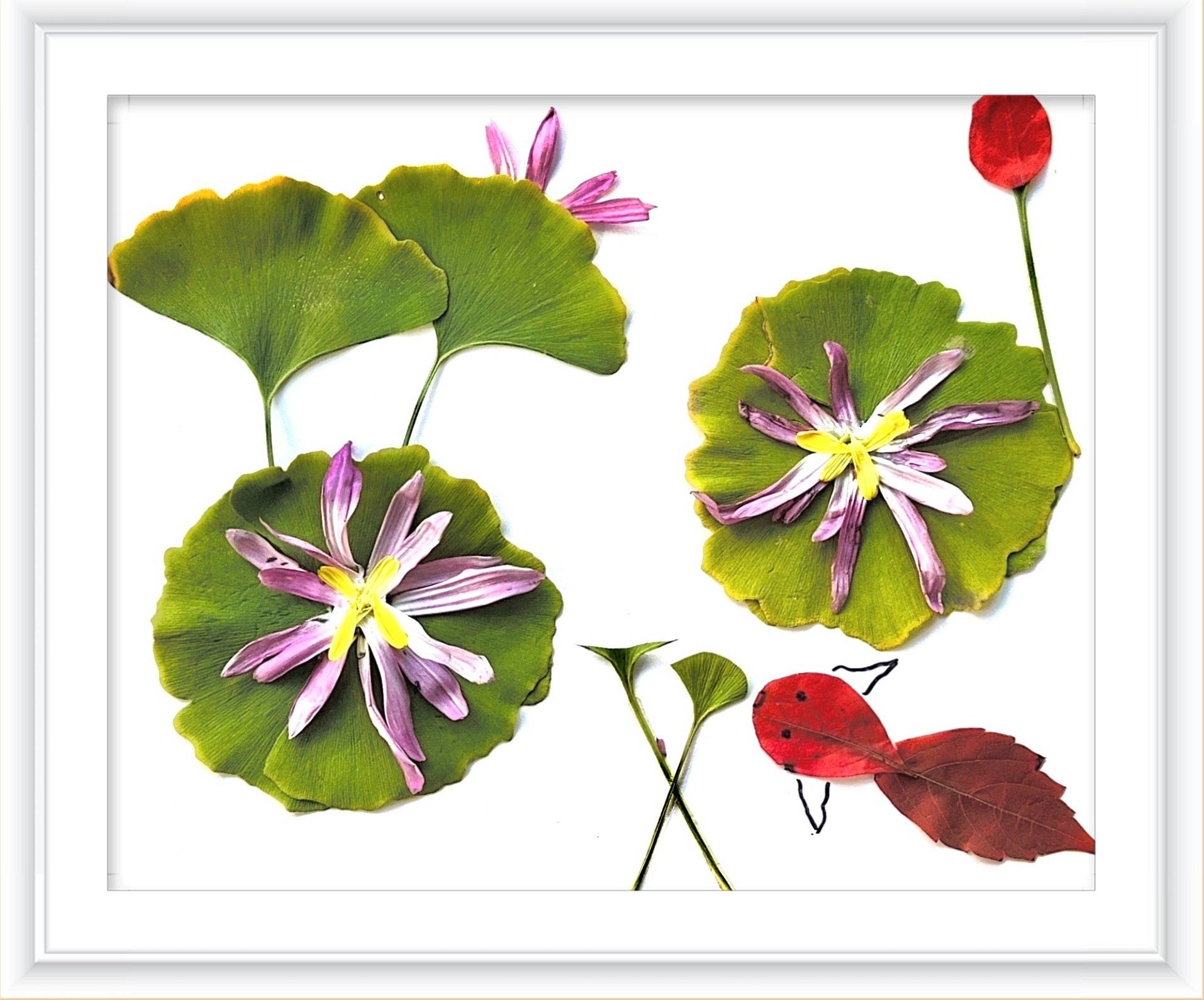 《一路清莲》作者：张颖蕊_副本.jpg